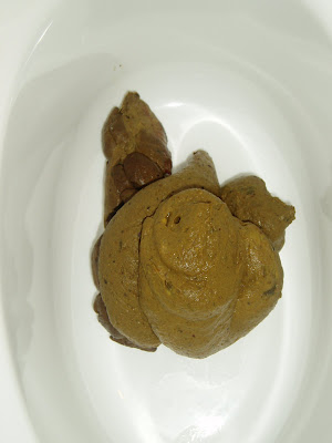 The GFCF Poop Blog: May 2008