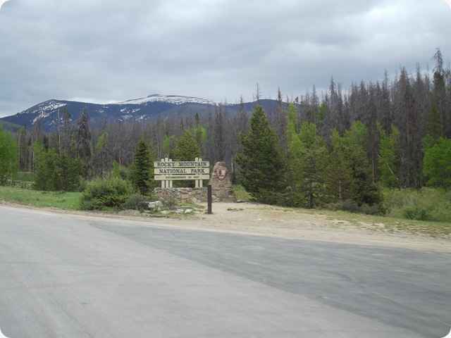 DSCF2131