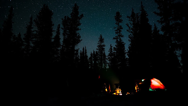 Campfire, Camping, Night, Forest