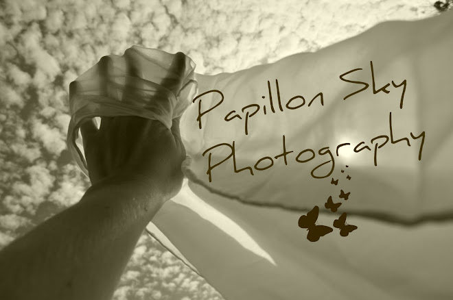 Papillon Sky Photography