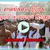 நல்லூரில் காவடி ஆடிய 51 ஆவது படையணி -காணொளி இணைப்பு