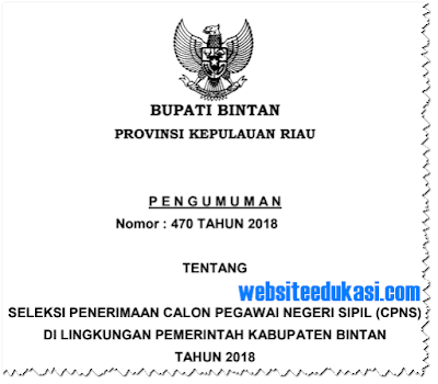 Pengumuman Pendaftaran CPNS 2018 Kabupaten Bintan