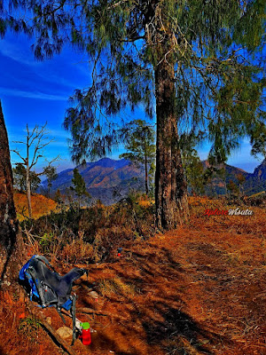 Porter Gunung Wilis - Paket Wisata Pendakian Gunung Wilis