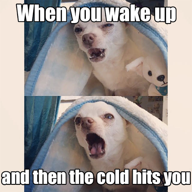 When you wakeup and then cold hits you