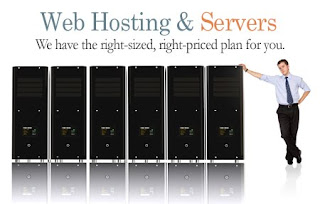 Evaluation of the Managed web hosting provider
