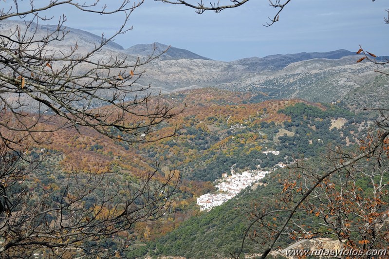 Ruta otoñal por los castañares de Pujerra e Igualeja