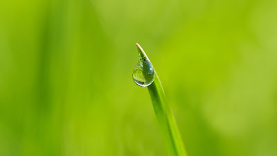 water drop close up hd resolution wallpaper