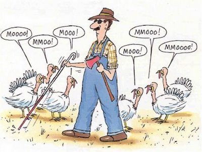 Thanksgiving Funny