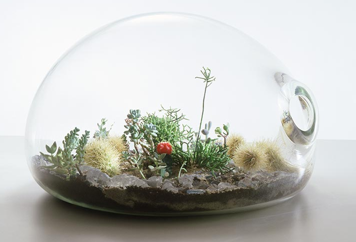 Weddings from the Heart Terrarium Center pieces