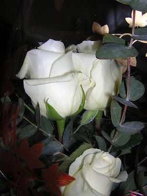 Tres rosas blancas s lo tres iluminaban tu rostro di fano