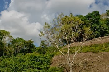 Atuln Ha Mayan ruins