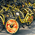 Gulf Shores eBike Rental, Bike Rental In Gulf Shores | Click For Needs, Muscle Fiber - Fiber Muscle