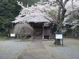 蓑毛の大日堂と桜