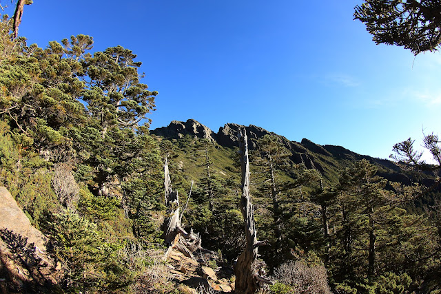 由東小南山經水源地往鹿山途中所見的玉山南峰