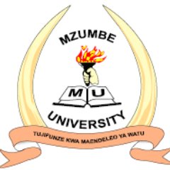 Jobs at Mzumbe University - Clinical Officer II 2022