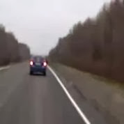 Bear Gets Hit By Car %26 Walks It Off Like A Boss.