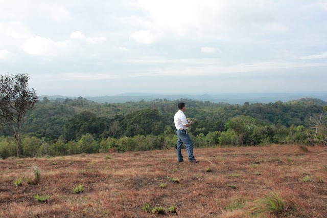 Forest Sea in Mondulkiri Province