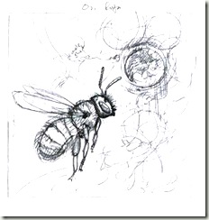 os rufa sketch sm