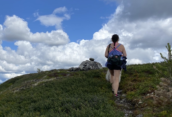 buvasstølan vardefjell stolpejakt