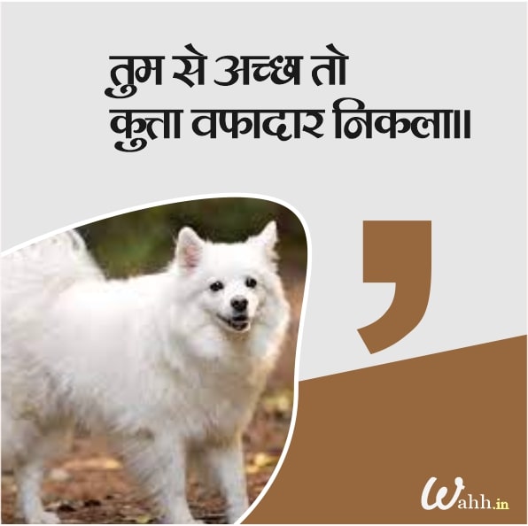 Dogs Quotes In Hindi