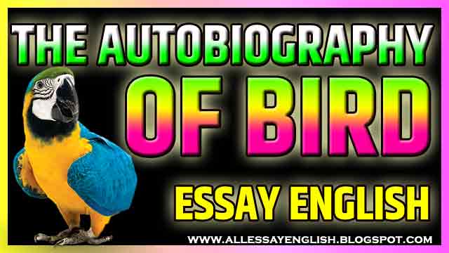 The Autobiography Of Bird Essay In English