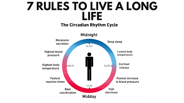 7 Rules to Live A Long Life The Circadian System
