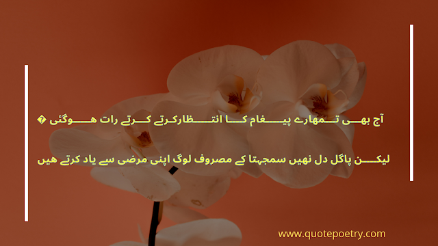 Best Love Poetry In Urdu Romantic