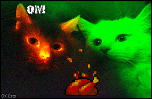 Art Cat GIF with captions • 2 hungry cats • OM NOM NOM Delicious juicy roasted chicken [ok-cats.com]