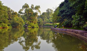 Want to learn more about the Singapore Botanic Gardens?