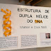 Átrio da BE da ESA - Exposição "Estrutura de Dupla Hélice do DNA" (Watson e Crick, 1953)