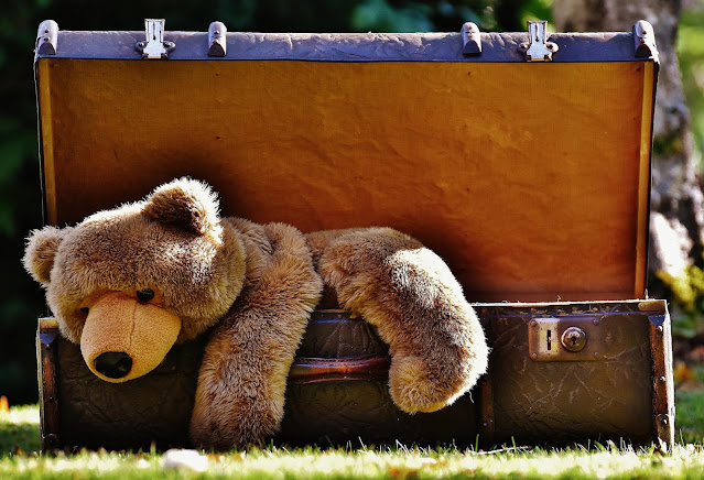 bear in suitcase