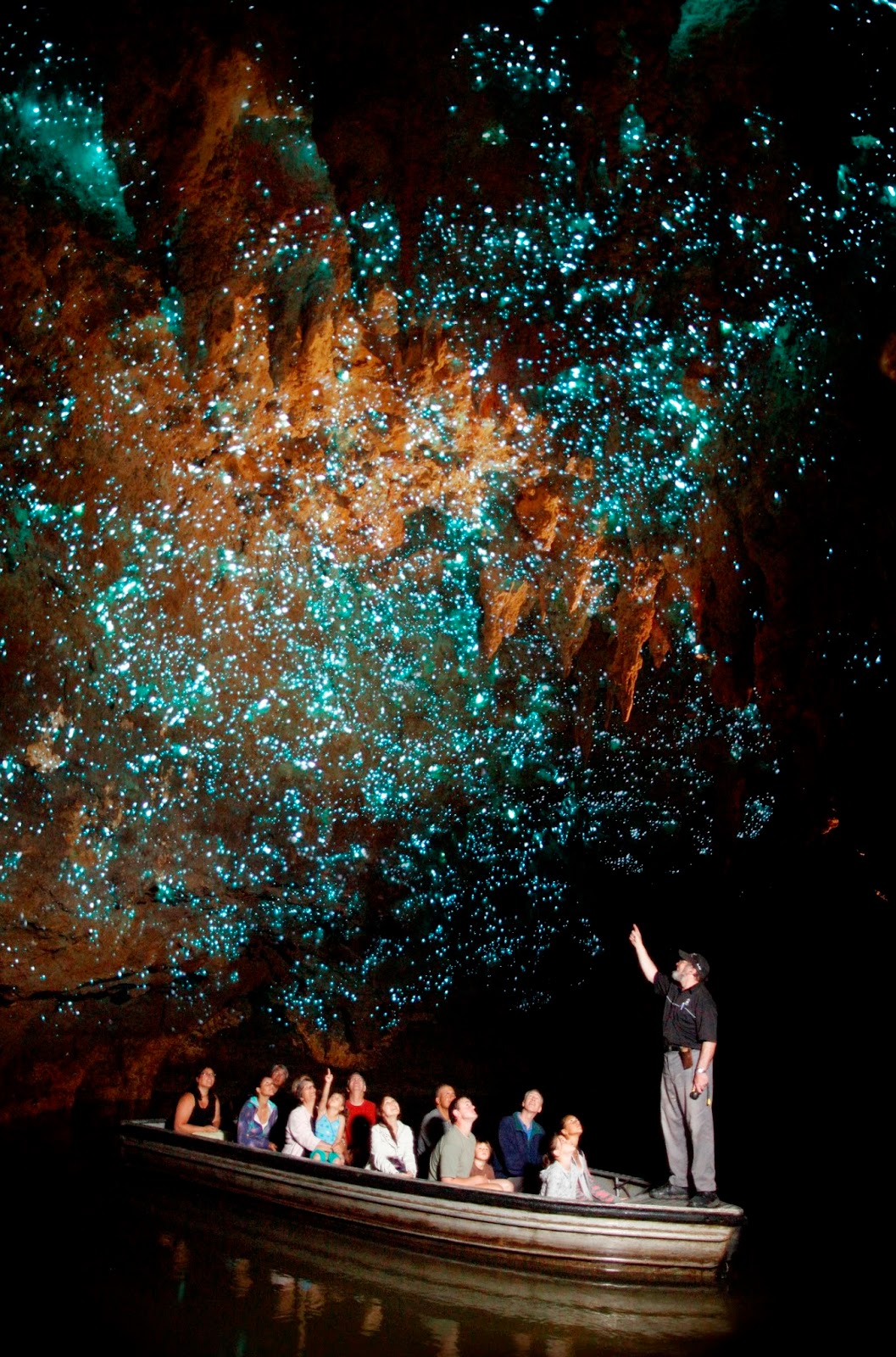 Glowworm Cave, New Zealand