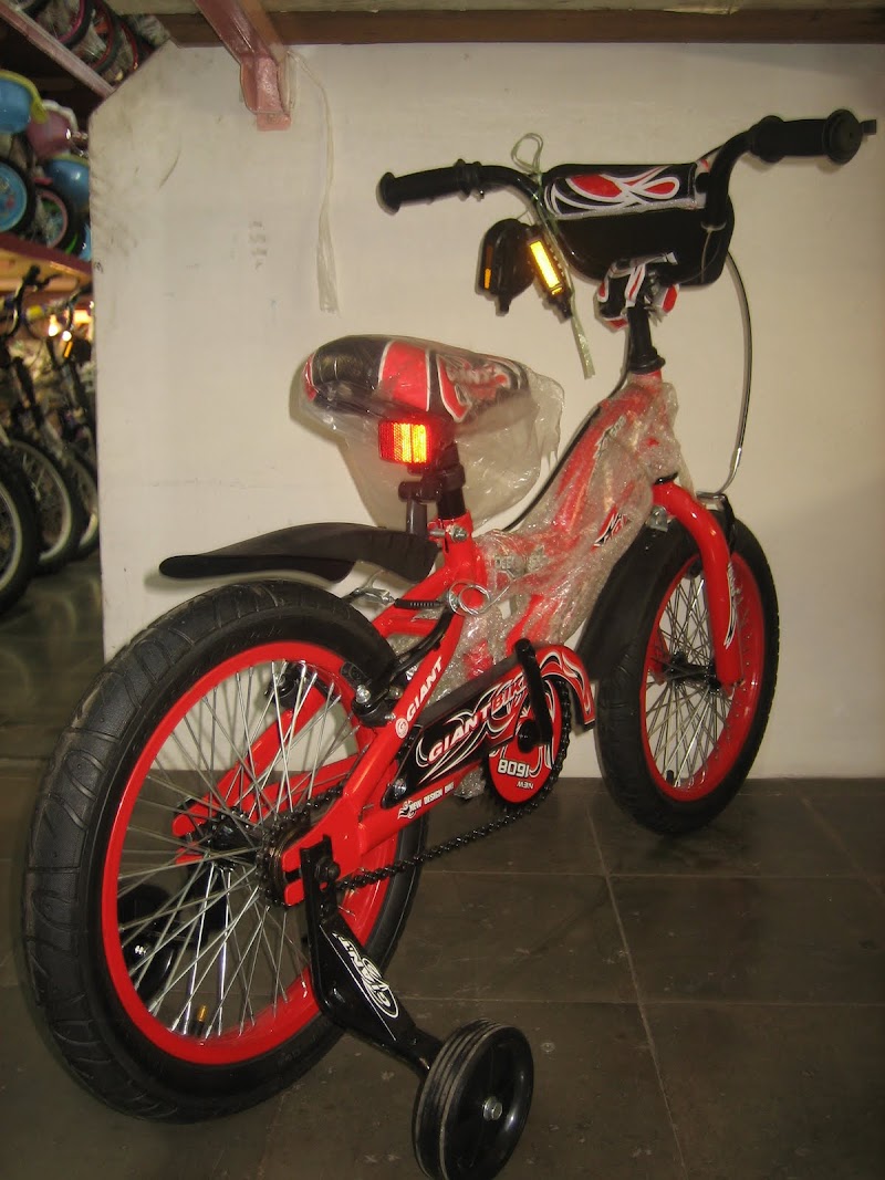 Ide Top 47+ Sepeda Anak Giant Bsd