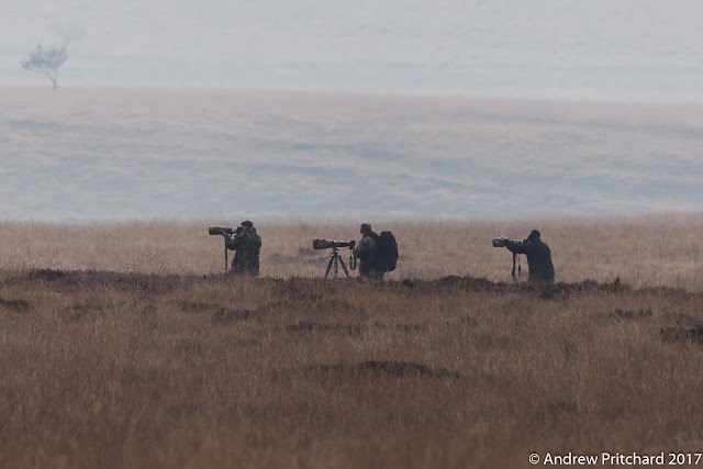 Three photographers out on the moor stalking stags.