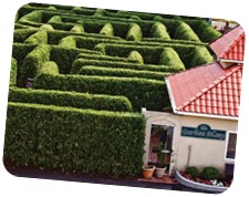 GardenMaze