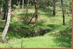 sprengen in Wolfheze