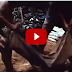 Documentary:  Influence of the white people to make a changed the tribes in Brazil