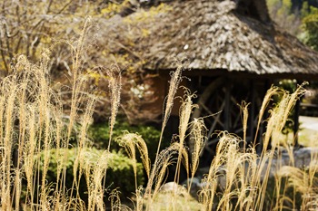 D700_2012-03-30_008