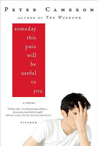 Someday This Pain Will Be Useful to You: A Novel (English Edition)