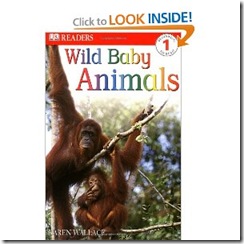 Wildbaby