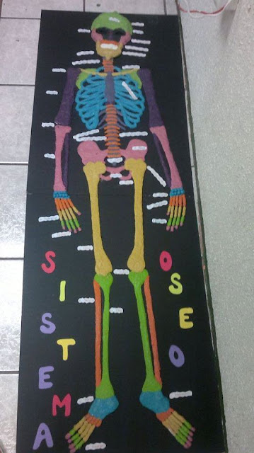 Esqueleto humano a base de plastelina