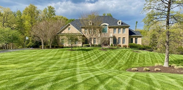 top lawn maintenance tips home buyers sellers best lawncare
