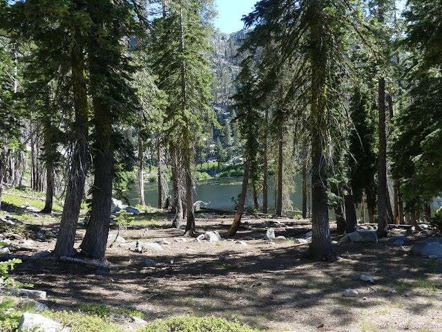 080: lake through trees over bare dirt