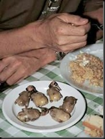 20050920_ambelopoulia