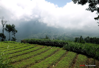 gunung merapi