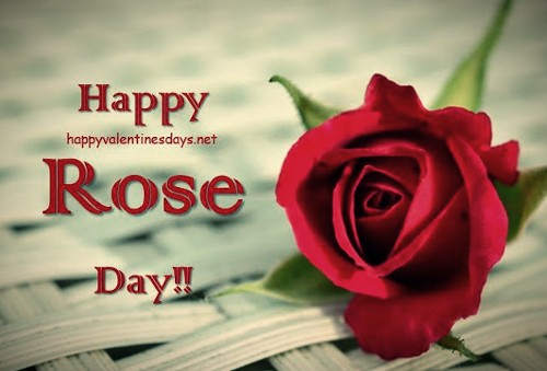 happy rose day picture