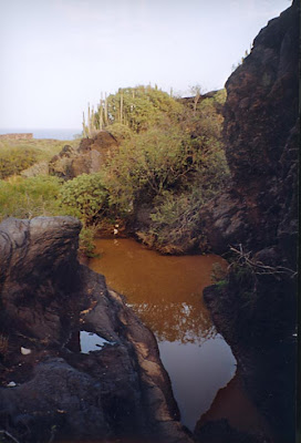 malpais guimar malpaís güímar tenerife