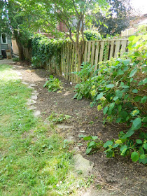 Toronto Dovercourt Park Backyard Garden Cleanup After by Paul Jung Gardening Services--a Toronto Gardening Company