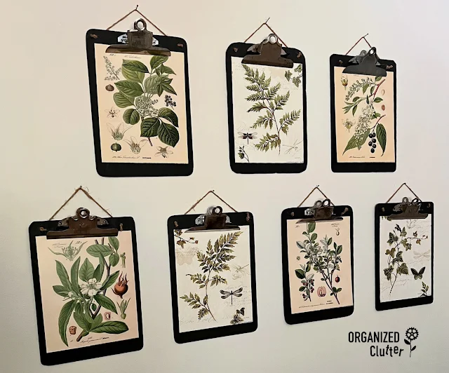 Photo of clipboards with botanical prints.