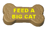 https://bigcatrescue.org/get-involved/volunteer/i-care-click-to-feed-a-big-cat/